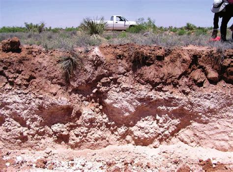 skid steer and caliche|caliche soil diagram.